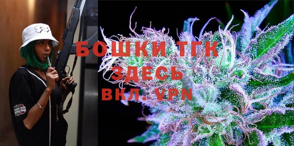 ешки Гусиноозёрск