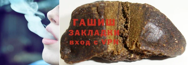гашик Гусь-Хрустальный