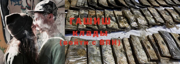 гашик Гусь-Хрустальный