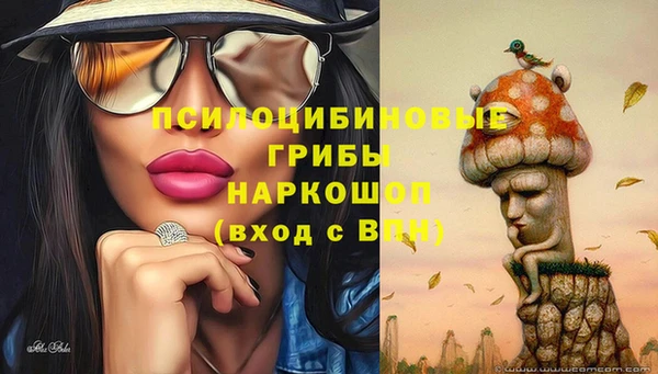 ешки Гусиноозёрск