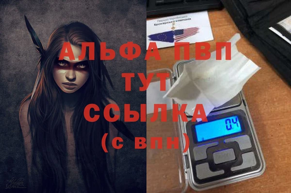 гашик Гусь-Хрустальный