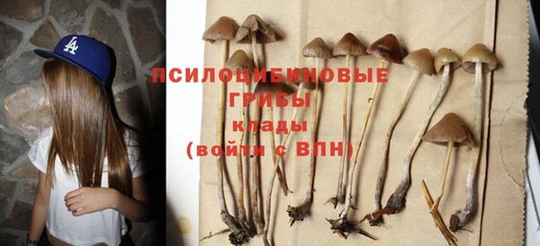 mix Гусев